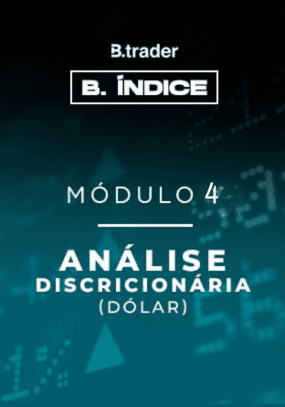 MODULO IV – Análise Discricionária (Dólar)